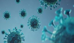Virüsler Hastalıkların Sebebi Çocuklar Antibiyotik Kullanmalı mı?