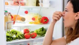 Buzdolabındaki Yemek Kokusu Nasıl Giderilir?