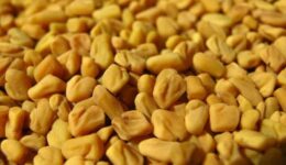 Çemen Otu Tohumu Yemeklerde Nasıl Kullanılır? Faydaları ve Zararları