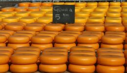 Hollanda Peynirlerinin Özellikleri
