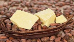 Kakao Yağı Neye İyi Gelir? Nerelerde Kullanılır?