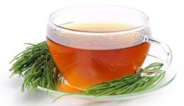 Kırkkilit Otu Çayı Hangi Hastalıklara İyi Gelir? Faydaları ve Zararları
