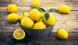 Limonun Yararları