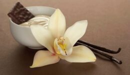 Mis Kokulu Vanilya Yemeklerde Nasıl Kullanılır? Faydaları, Zararları ve Kalorisi