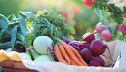 Organik Gıdalar Nasıl Anlaşılır, Farkı Nedir?