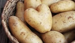 Patatesin Filizlenmemesi İçin Ne Yapmalı?