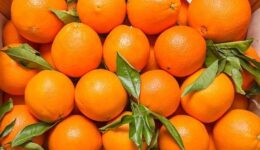 Portakal Hangi Hastalıklara İyi Gelir? Nasıl Saklanır, Faydaları Nelerdir?