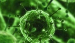 Rota Virüsü Nedir? Nasıl Bulaşır? Belirtileri, Tedavisi ve Korunma Yolları Nelerdir?