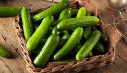 Salatalık Nasıl Saklanır? Salatalığın Faydaları, Zararları ve Kalorisi