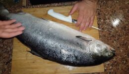 Somon Balığı Yemeklerde Nasıl Kullanılır? Hangi Hastalıklara İyi Gelir?
