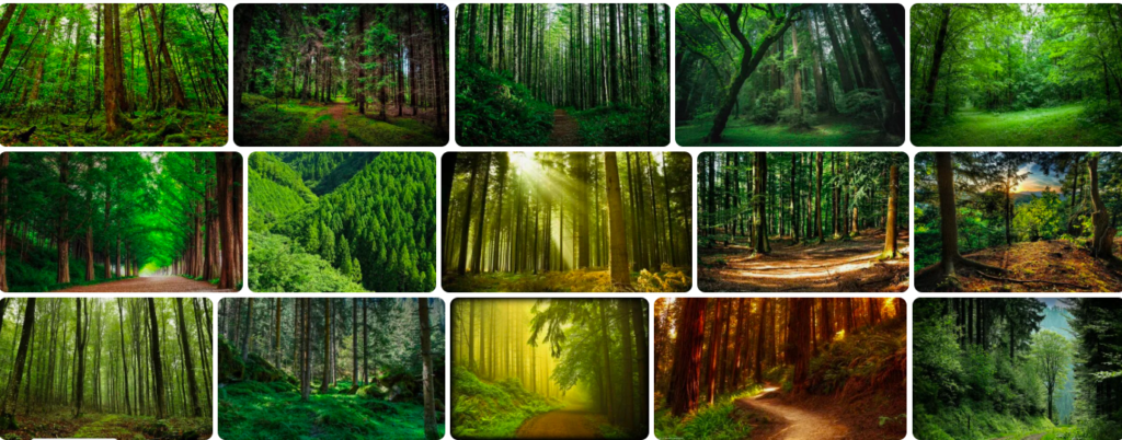 Rüyada orman görmek ne anlama gelir