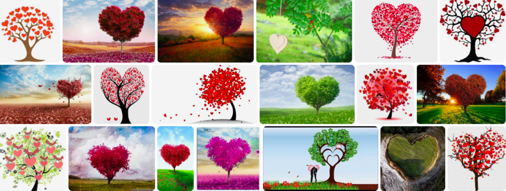 Rüyada sevgi ağacı görmek ne anlama gelir